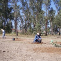 Preparando el terreno para los árboles. (Foto: Juan Martínez Cruz)