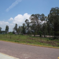 Vista del arboretum (2). (Foto: Juan Martínez Cruz)