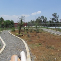 Vista de la azotea verde (3). (Foto: Juan Martínez Cruz)